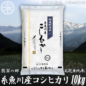 新潟県産コシヒカリ 10kg (5kg×2袋)  名水と翡翠の郷 令和5年産  糸魚川 白米  