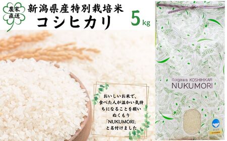 新潟県産「コシヒカリ」5kg  令和5年産 特別栽培米 甘みあふれる農家自慢の逸品 NUKUMORI ぬくもり