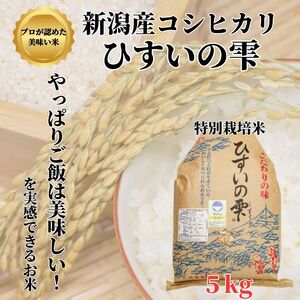 新潟県産コシヒカリ ５kg 特別栽培米『ひすいの雫』令和5年産 糸魚川 こしひかり