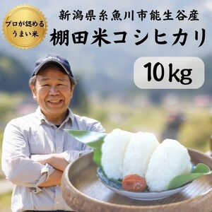 新潟県産コシヒカリ10kg プロが認める棚田米 令和5年産 糸魚川 能生谷産こしひかり