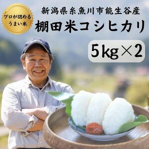 新潟県産コシヒカリ10kg ５kg×2袋 プロが認める棚田米  令和5年産 糸魚川 能生谷産こしひかり　