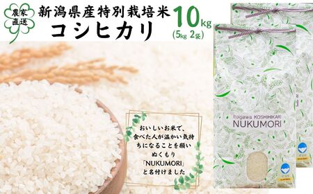 新潟県産 「コシヒカリ」10kg 令和5年産 特別栽培米 甘みあふれる農家自慢の逸品 NUKUMORI　