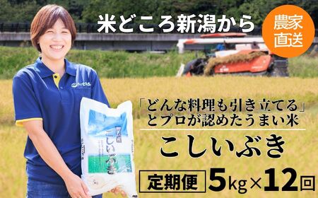 【12ヶ月定期便】『新潟産こしいぶき』5kg×12回お届け(計60kg) プロが認めたうまい米 令和5年産 新潟産コシイブキ 新潟県糸魚川産 農家直送 おいしいお米をお届けします。