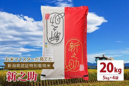 お米マイスターが育てた新潟県認証特別栽培米「新之助」上越頸城産令和5年産 20kg(5kg×4)精米
