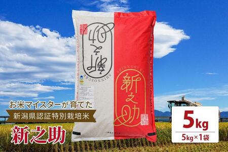 令和5年産お米マイスターが育てた新潟県認証特別栽培米「新之助」上越頸城産 5kg(5kg×1)精米