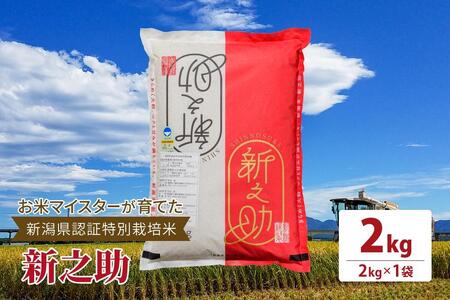 令和5年産お米マイスターが育てた新潟県認証特別栽培米「新之助」上越頸城産 2kg(2kg×1)精米