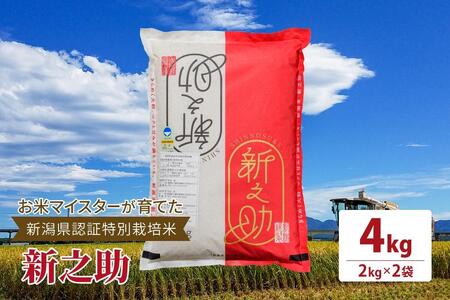 令和5年産お米マイスターが育てた新潟県認証特別栽培米「新之助」上越頸城産 4kg(2kg×2)精米