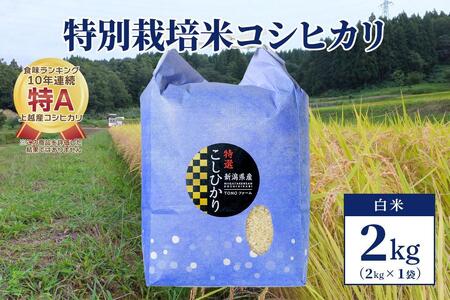 【50セット限定】令和5年産 新潟上越清里産 特別栽培米コシヒカリ2kg(2kg×1袋)白米