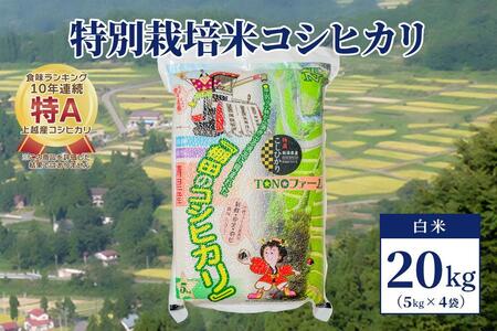 【50セット限定】令和5年産 新潟上越清里産 特別栽培米コシヒカリ20kg(5kg×4袋)白米