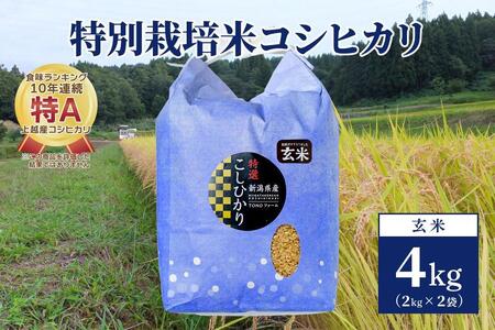 【50セット限定】令和5年産 新潟上越清里産 特別栽培米コシヒカリ4kg(2kg×2袋)玄米
