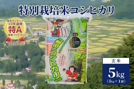 【50セット限定】令和5年産 新潟上越清里産 特別栽培米コシヒカリ5kg(5kg×1袋)玄米