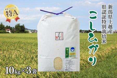 令和5年産／新潟県上越産 人気のお米「新潟県認証特別栽培米コシヒカリ」精米30kg（10kg×3袋）