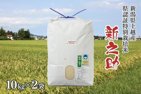 令和5年産／新潟県上越産ブランド米「新潟県認証特別栽培米・新之助」精米20kg（10kg×2袋）