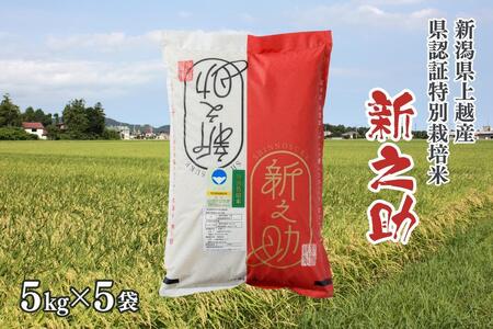 令和5年産／新潟県上越産ブランド米「新潟県認証特別栽培米・新之助」精米25kg（5kg×5袋）