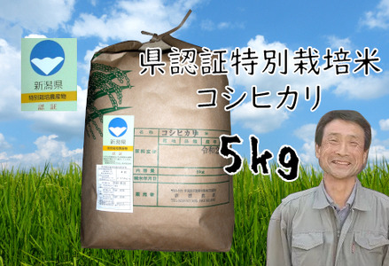【3か月定期便】特別栽培米 コシヒカリ 5kg×3回 新潟県認証 1G14030