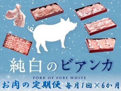 【6か月定期便】純白のビアンカコース 毎月違うお肉をお届け 計4kg超 豚バラ 豚ロース 骨付き ポークステーキ しゃぶしゃぶ 焼肉 1D22047