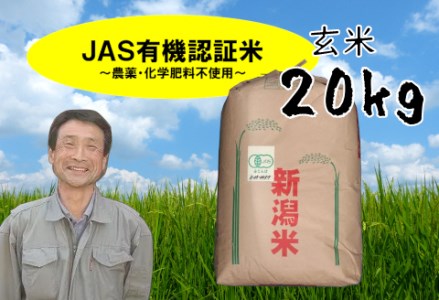 令和5年産完売御礼【新米】JAS有機認証米 コシヒカリ 玄米 20kg 10月中旬以降のお届け 精米も可 1G09050