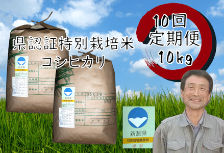 【10か月定期便】特別栽培米 コシヒカリ 10kg×10回 新潟県認証  1G03200