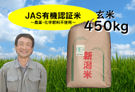 令和5年産完売御礼【新米】JAS有機認証米 コシヒカリ 玄米 450kg 10月中旬以降のお届け 精米も可 1G12000