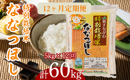 『特別栽培米ななつぼし5kg』定期便！毎月1回・計12回お届け