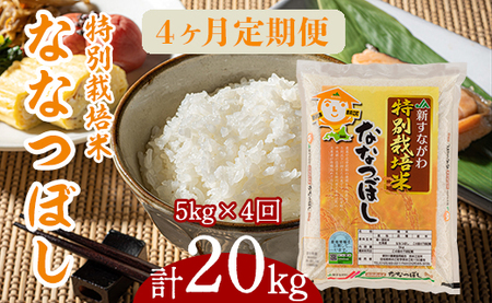『特別栽培米ななつぼし5kg』定期便！毎月1回・計4回お届け
