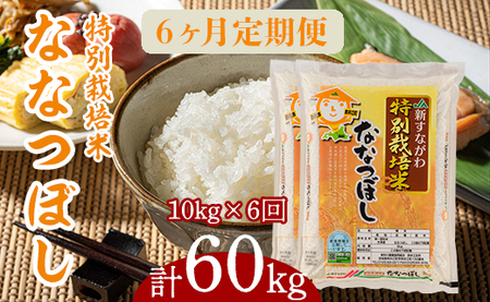 『特別栽培米ななつぼし5kg×2』定期便！毎月1回・計6回お届け