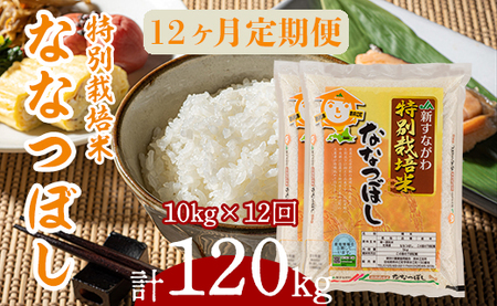 『特別栽培米ななつぼし5kg×2』定期便！毎月1回・計12回お届け