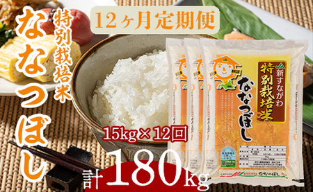 『特別栽培米ななつぼし5kg×3』定期便！毎月1回・計12回お届け