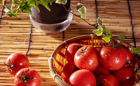 江口農園完熟つぶしトマト