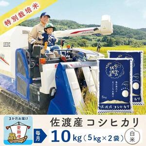 【3か月定期便】佐渡島産コシヒカリ 白米10Kg 令和5年産 特別栽培米