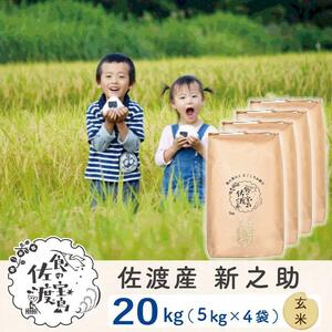 佐渡島産 新之助 玄米20kg(5kg×4袋)【令和5年産】