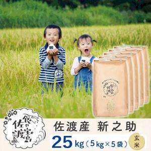 佐渡島産 新之助 玄米25kg(5kg×5袋)【令和5年産】