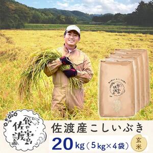 佐渡島産 こしいぶき 玄米20kg(5kg×4袋）【令和5年産】～農薬5割減～