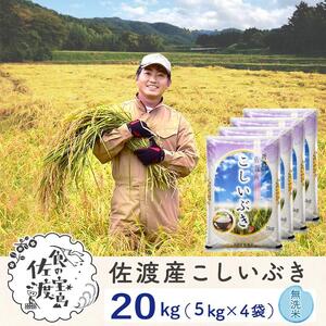 佐渡島産 こしいぶき 無洗米20kg(5kg×4袋)【令和5年産】～農薬5割減～