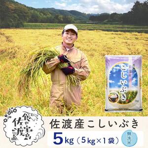 佐渡島産 こしいぶき 無洗米5kg×1袋【令和5年産】～農薬5割減～