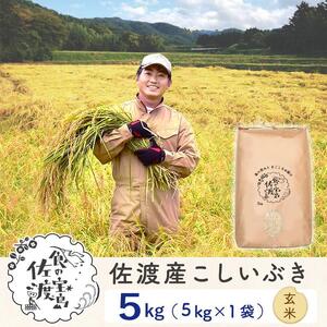 佐渡島産 こしいぶき 玄米5kg×1袋【令和5年産】～農薬5割減～