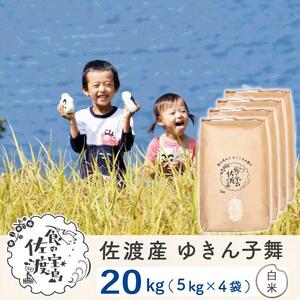佐渡島産 ゆきん子舞 白米20kg(5kg×4袋)【令和5年産】