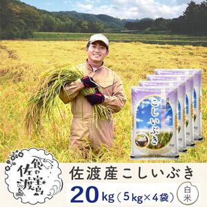 佐渡島産 こしいぶき 白米20kg(5kg×4袋）【令和5年産】～農薬5割減～