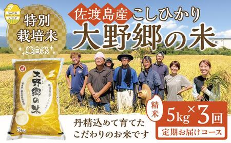 【令和５年産新米】佐渡島産 特別栽培米こしひかり「大野郷の米」精米5kg×３回 定期お届けコース