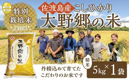 【令和５年産新米】佐渡島産 特別栽培米こしひかり「大野郷の米」 精米5kg×１袋