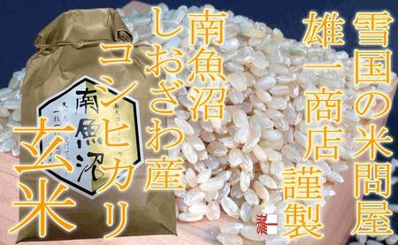 ●玄米● 【定期便20Kg×3ヶ月】 生産者限定 南魚沼しおざわ産コシヒカリ