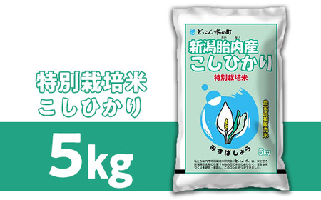 23-B3R5新潟県胎内市産「どっこん水」コシヒカリ5kg（特別栽培米研究会）