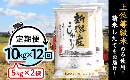 K1012【12ヶ月連続お届け】新潟県産コシヒカリ10kg（5kg×2袋）