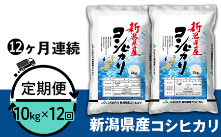 23-K10ZR5【12ヶ月連続お届け】新潟県中条産コシヒカリ10kg（5kg×2袋）