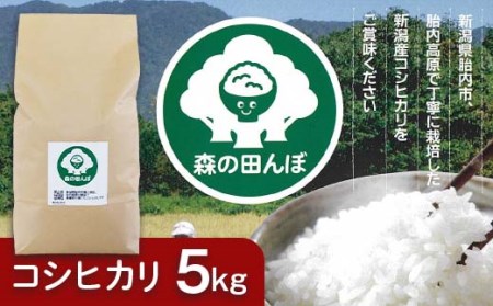 新潟県胎内産コシヒカリ5kg（森の田んぼ）