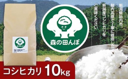 新潟県胎内産コシヒカリ10kg（森の田んぼ）