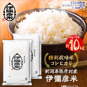 令和3年産　特別栽培米コシヒカリ「伊彌彦米」10kg【1006486】