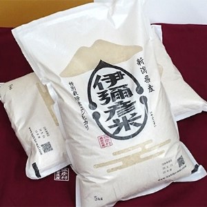 令和3年産　特別栽培米コシヒカリ「伊彌彦米」30kg【1006487】