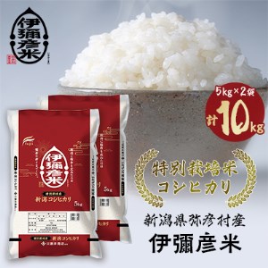 令和3年産特別栽培米コシヒカリ「伊彌彦米」10kg【1125998】