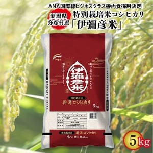令和3年産特別栽培米コシヒカリ「伊彌彦米」5kg【1125999】